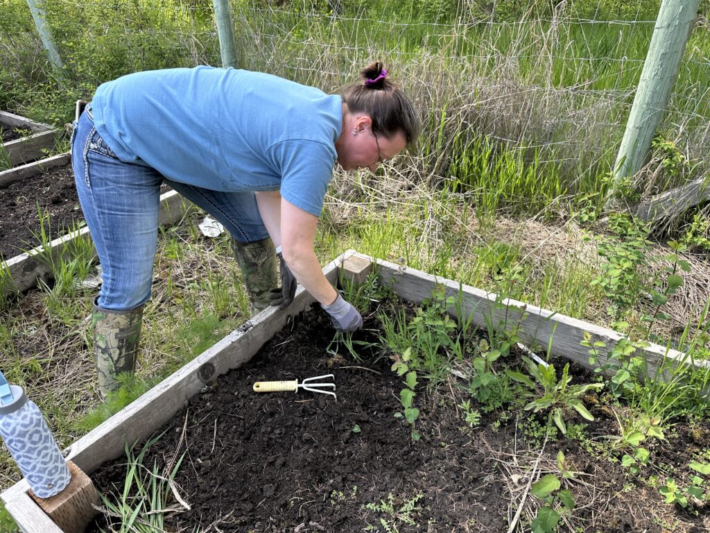 service gardenIMG_3204