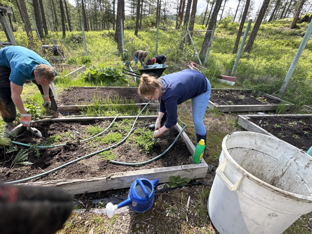 service gardenIMG_3206